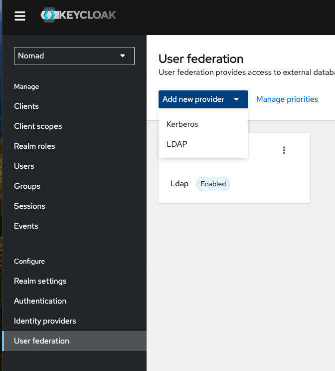 SAML SSO and Keycloak with HCL Nomad Web - Part 2: HCL Nomad Web Authentication